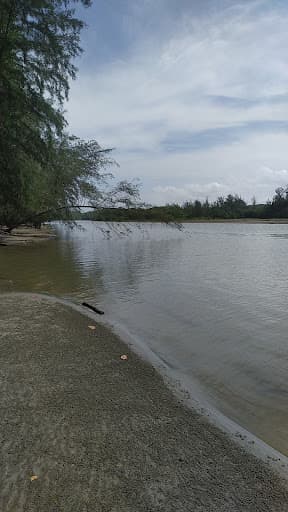 Sandee Hutan Cemara Ngalam Photo