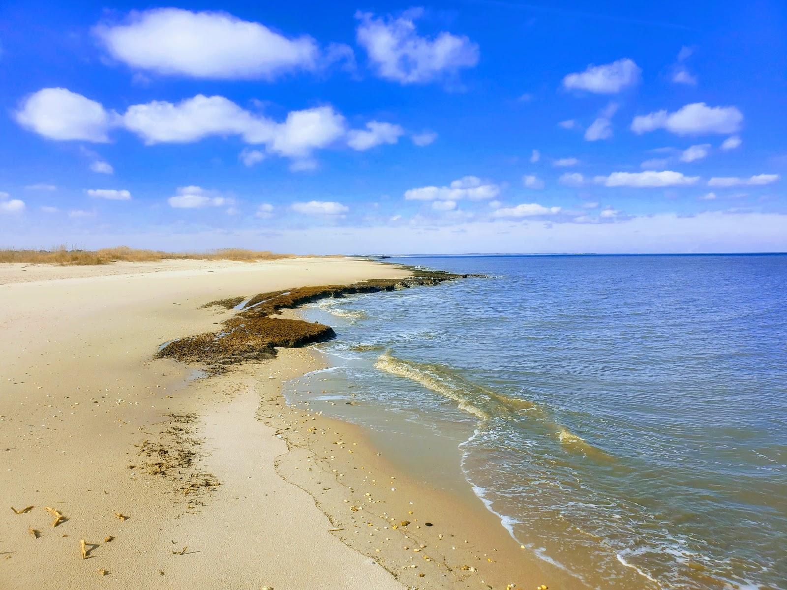 Sandee - Bennett's Pier Beach