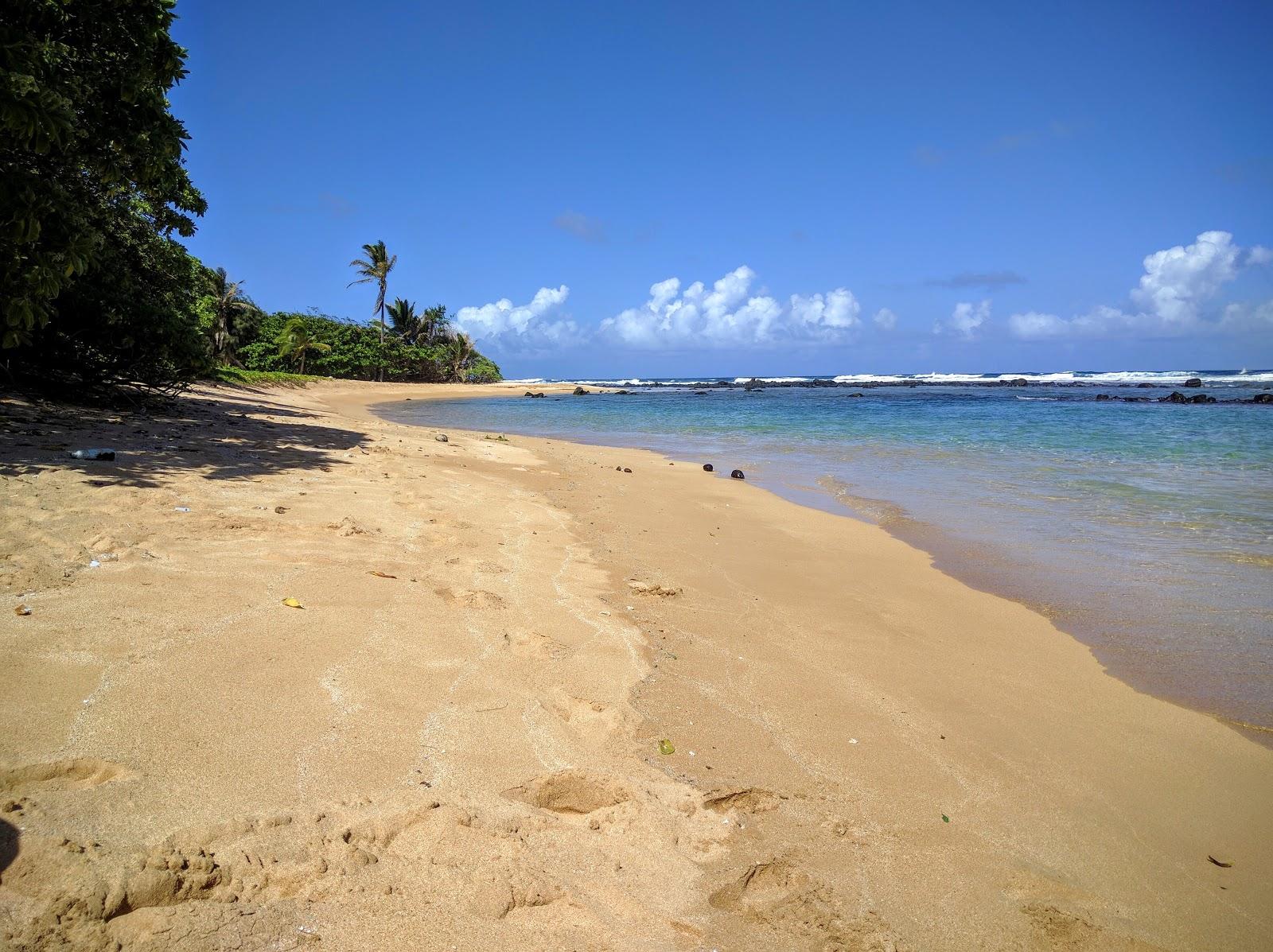 Sandee - Papaa Bay Beach