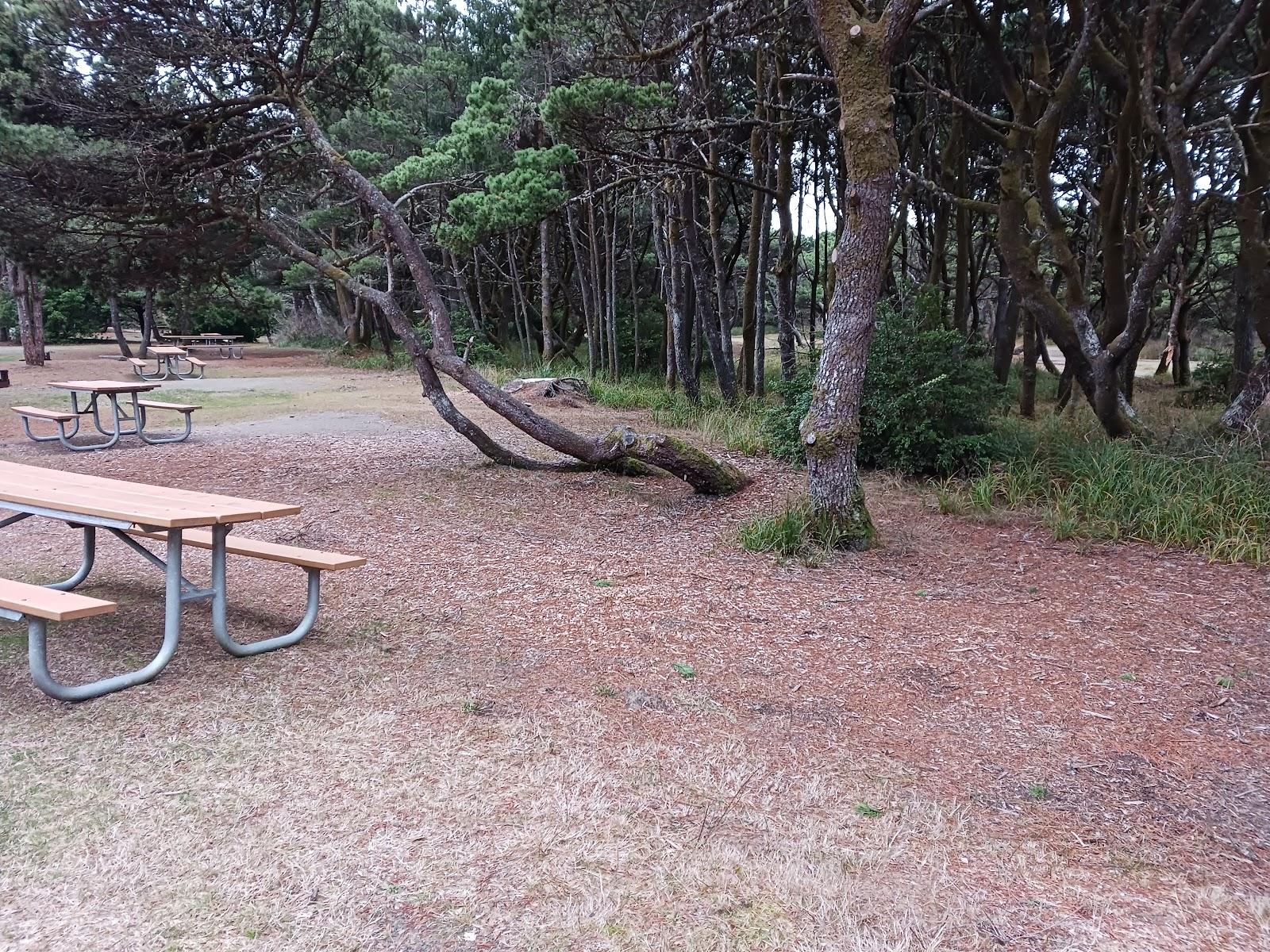Sandee Twin Harbors State Park