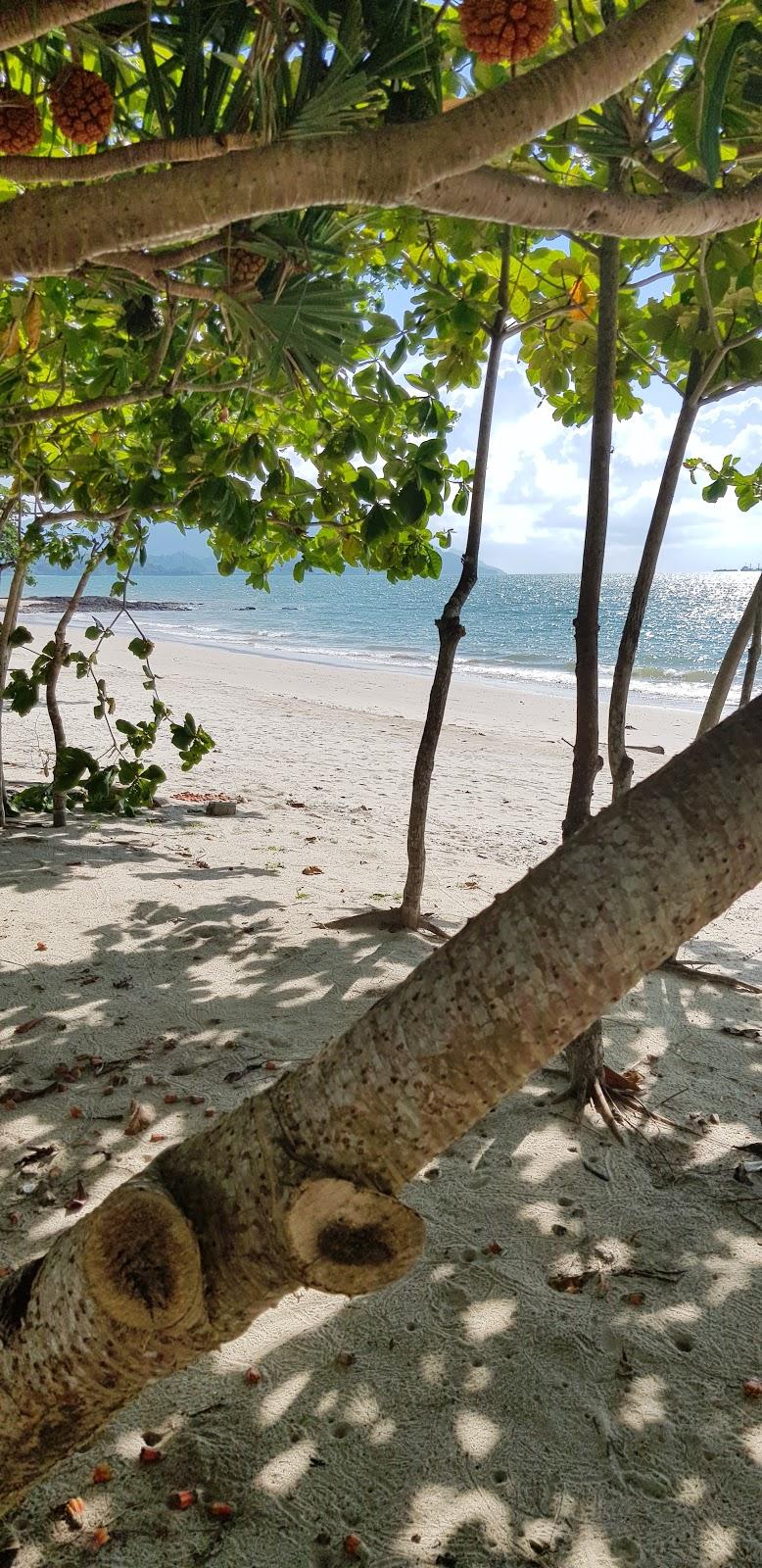 Sandee Maha Beach