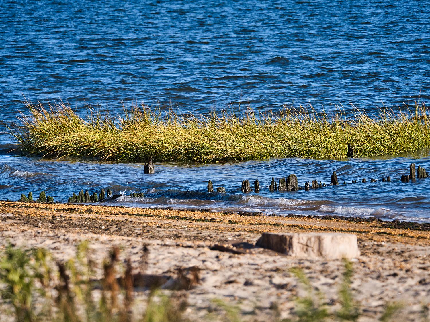 Sandee - Seidler Beach