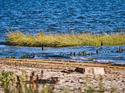 Sandee - Seidler Beach