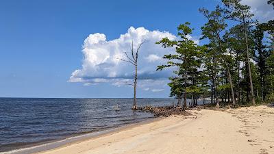 Sandee - Croatan National Forest