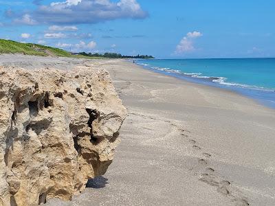 Sandee - Blowing Rocks Preserve