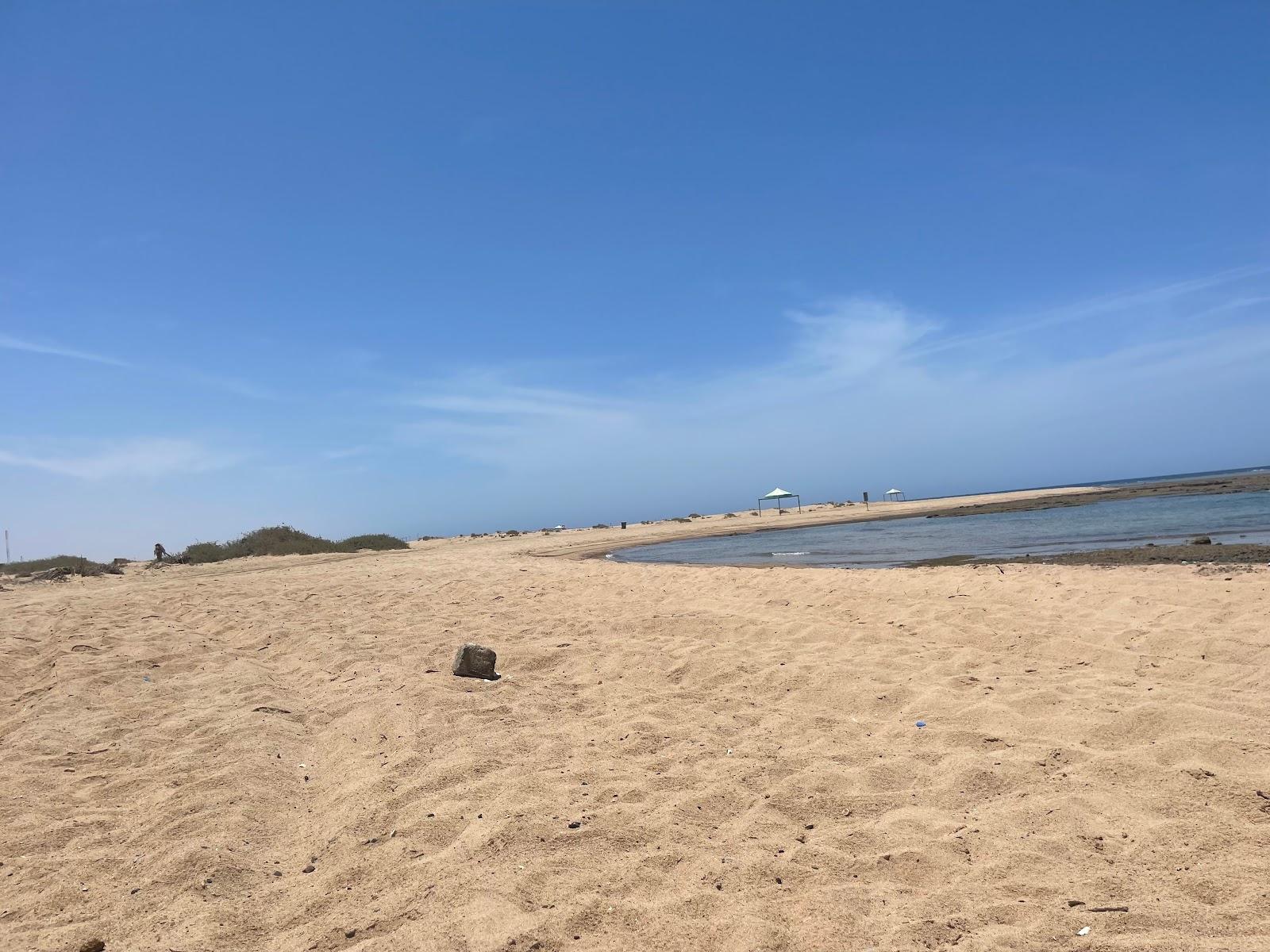 Sandee Muwailih Beach