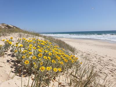 Sandee - Rocherpan Nature Reserve Beach