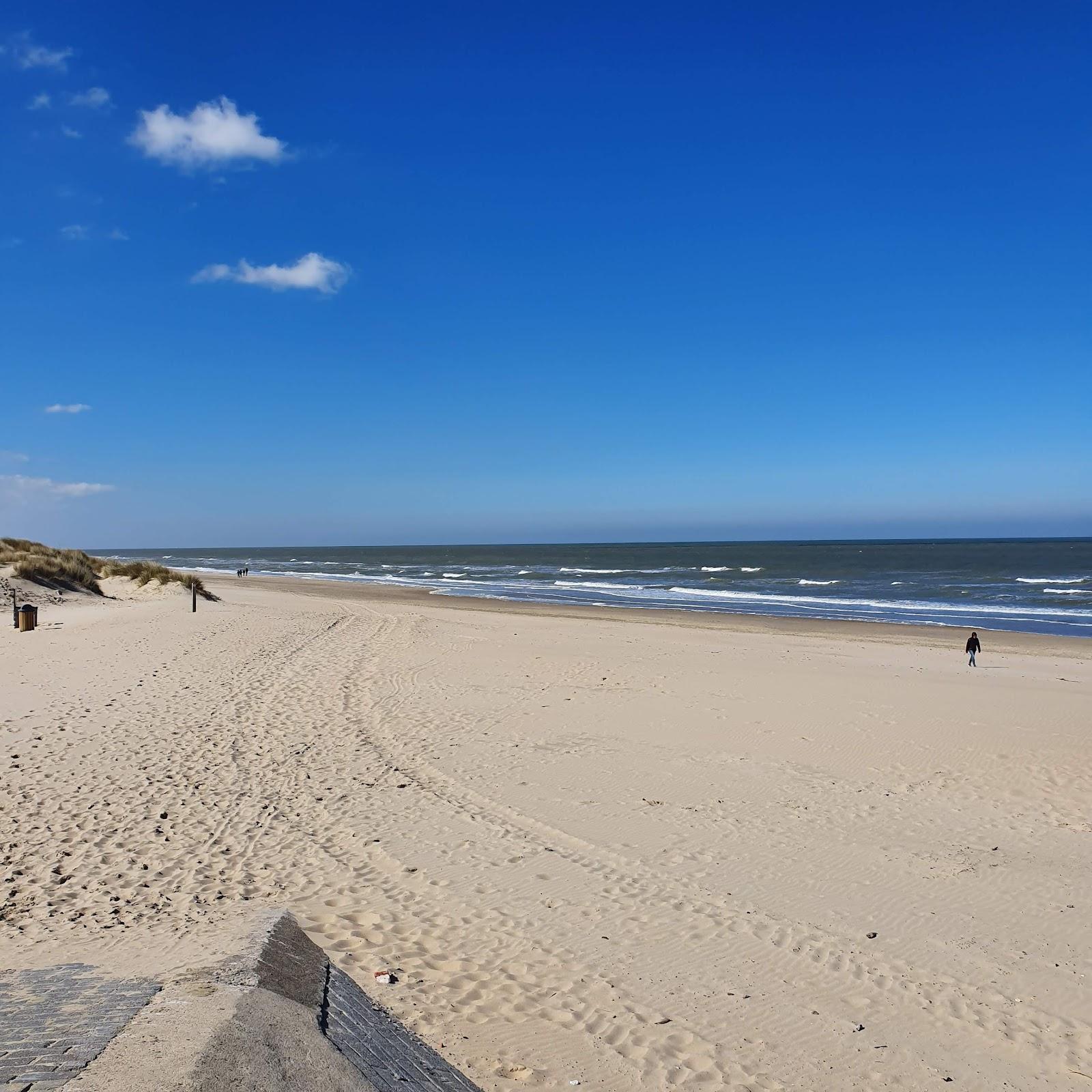 Sandee Duinbossen De Haan - Wenduine Beach Photo