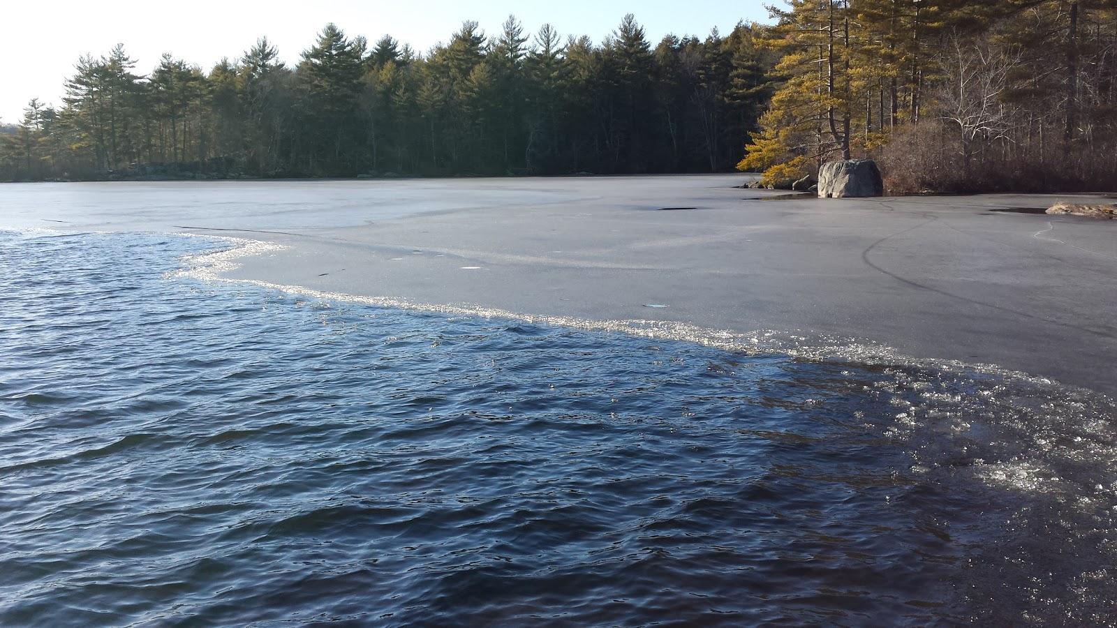 Sandee Beach Pond