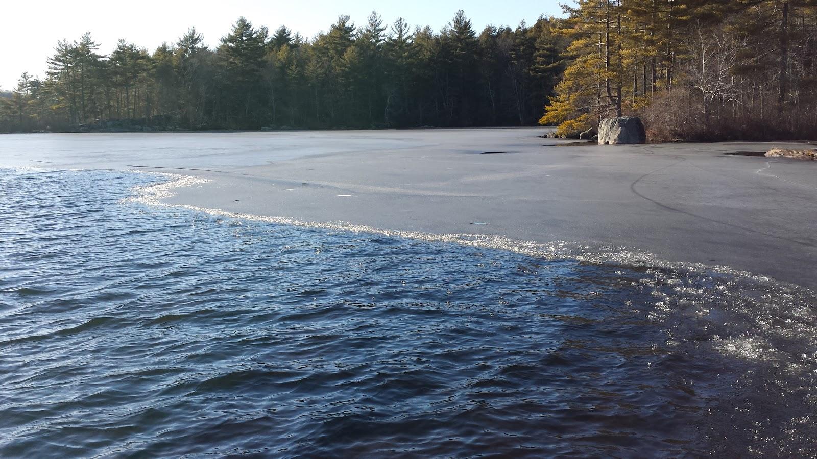 Sandee Beach Pond Photo