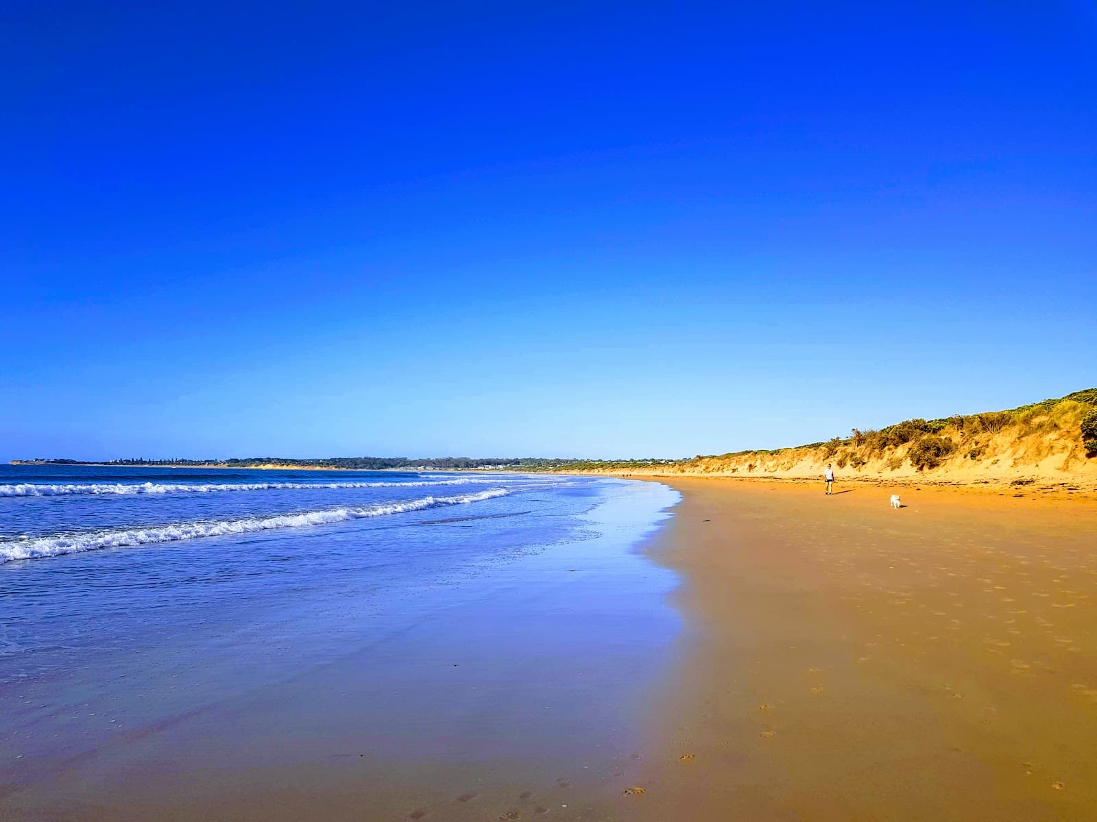 Sandee Whites Beach Photo