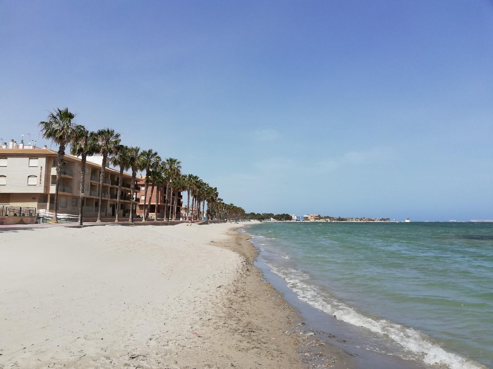Sandee Beach Carrion