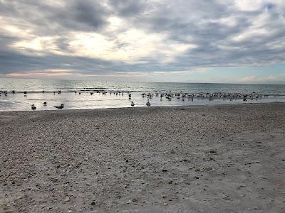 Sandee - Coquina Beach