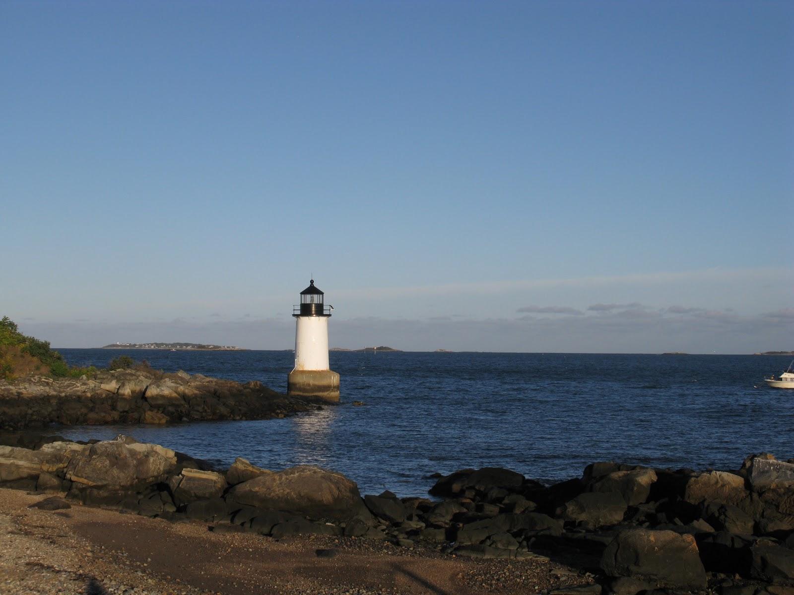 Sandee Collins Cove
