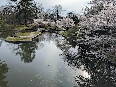 Sandee - Ometsu Park