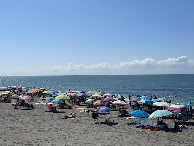 Sandee - Playa De La Torrecilla