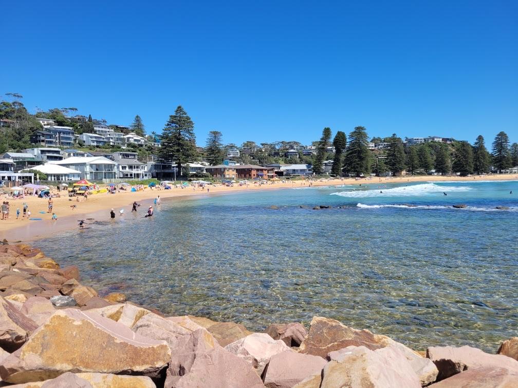 Sandee - Avoca Beach