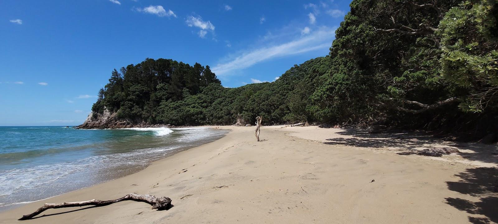 Sandee - Pakahakaha Bay