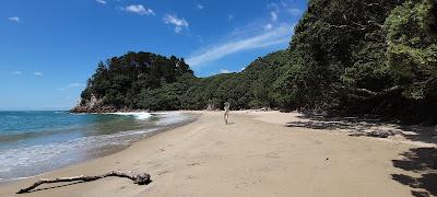 Sandee - Pakahakaha Bay