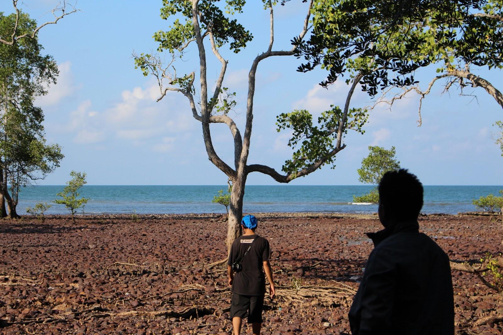 Sandee Pasir Putih Beach