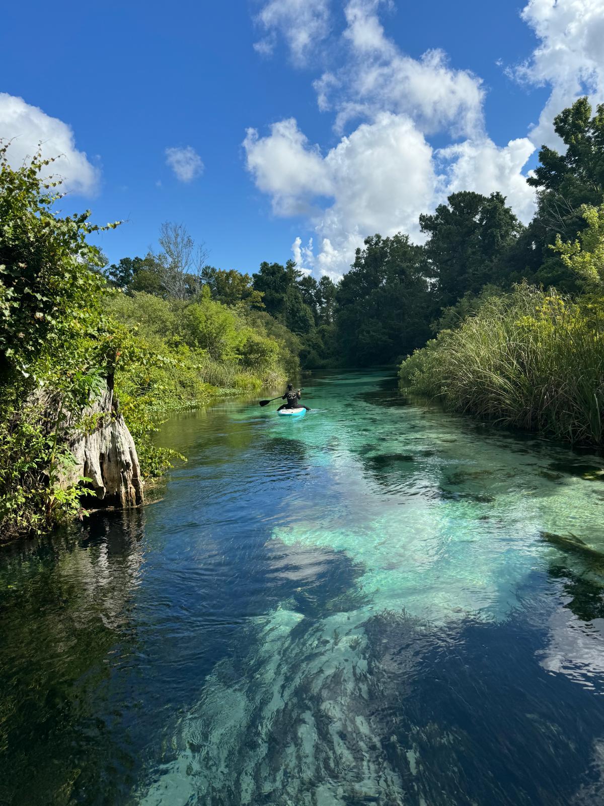 Sandee - Weeki Wachee Spring