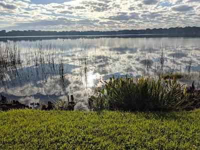 Sandee - Dinky Dock Park