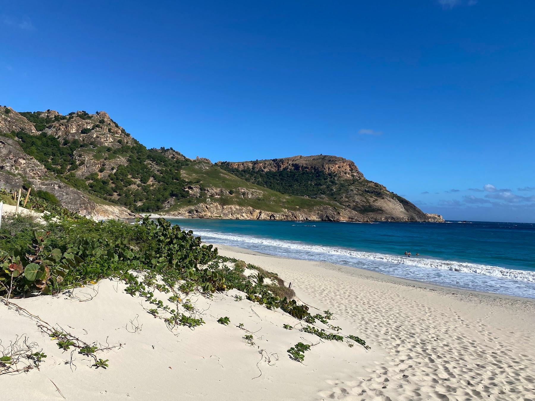 Sandee Saline Beach Photo