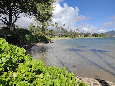 Sandee - Kawaikui Beach Park