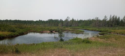 Sandee - Schoolcraft Township Park