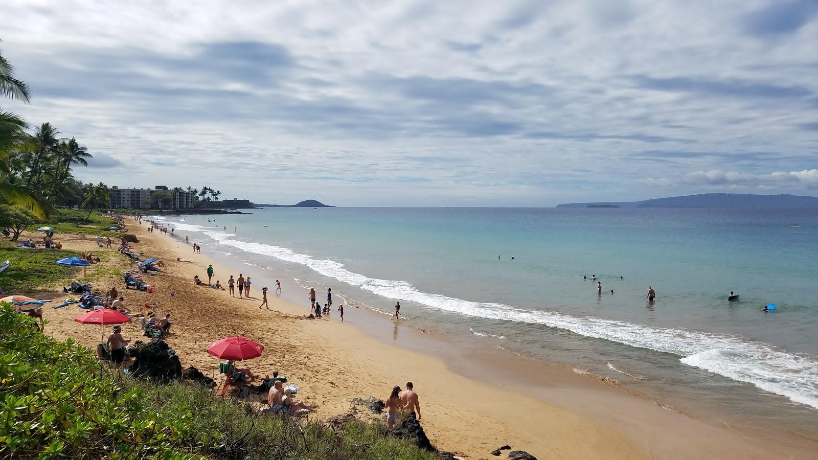 Sandee - Cove Beach Park