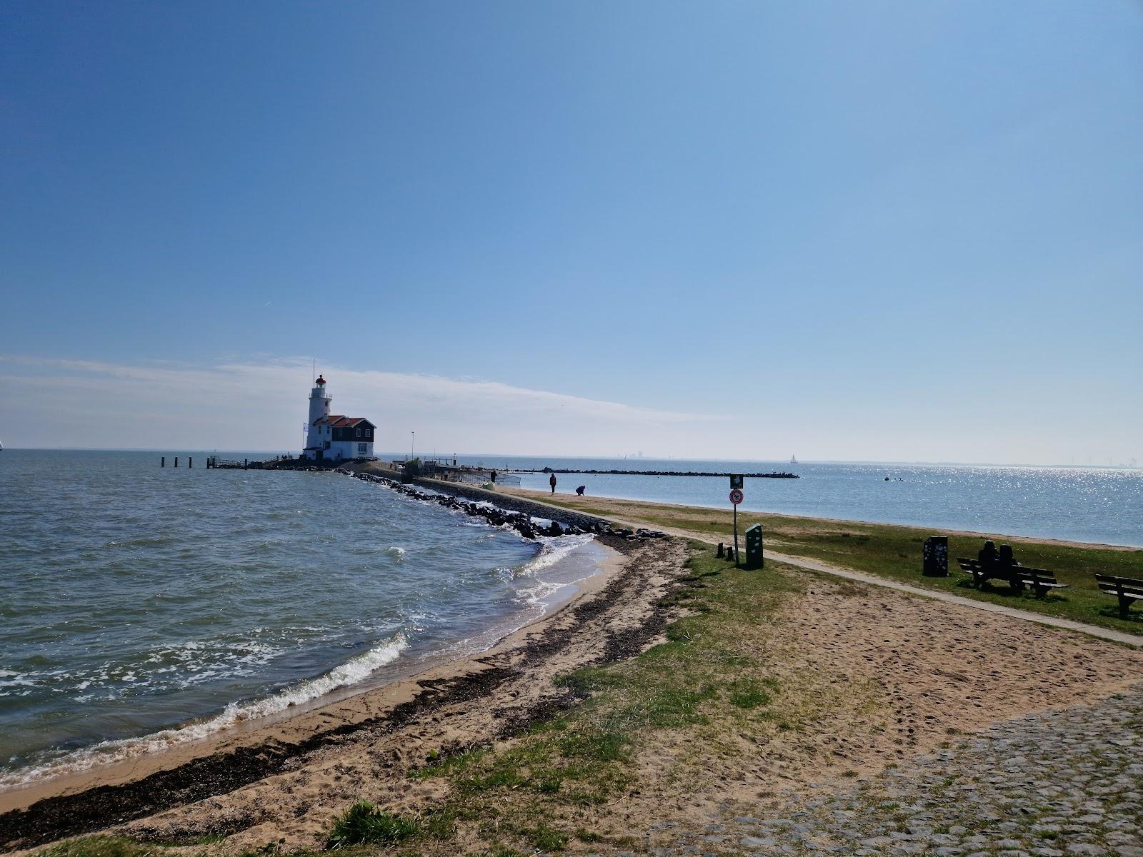 Sandee The Horse Of Marken Lighthouse Photo