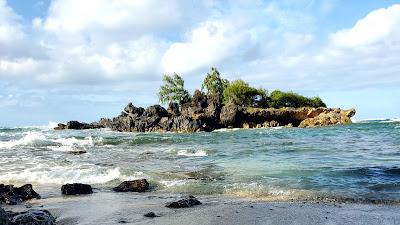 Sandee - Waialee Beach Park