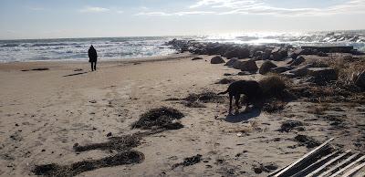 Sandee - Fenway Beach