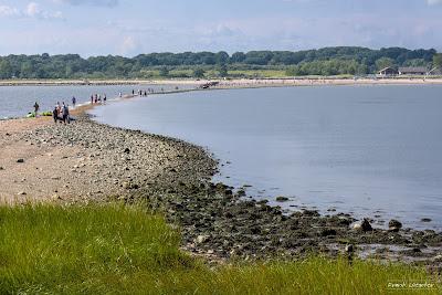 Sandee - Charles Island Beach