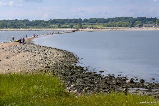 Sandee - Charles Island Beach