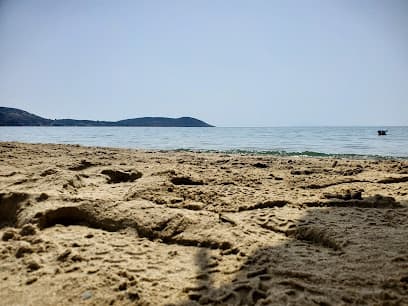 Sandee - Bordonia Beach