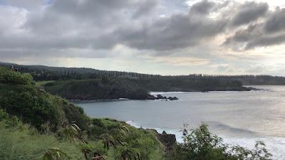 Sandee - Honolua Bay