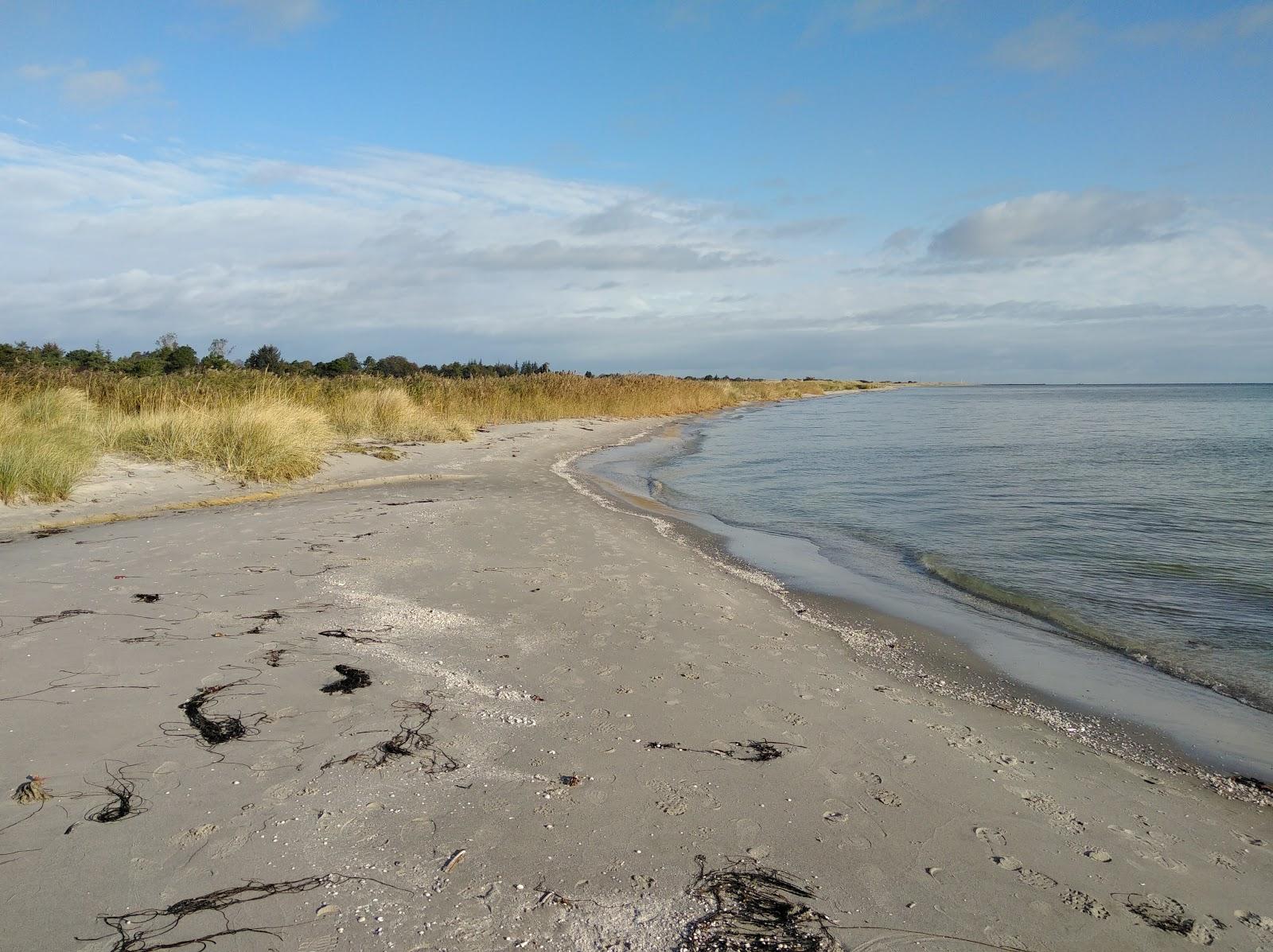 Sandee Stranden Between Hou Og Bisnap. Photo