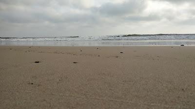 Sandee - Sakhari Agar Beach