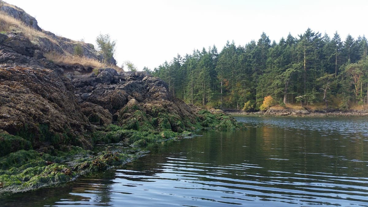 Sandee Center Island, Beach 324a Photo