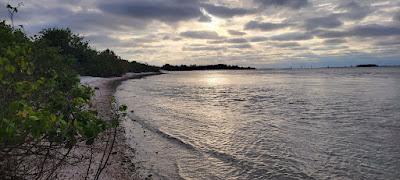 Sandee - Apollo Beach Preserve