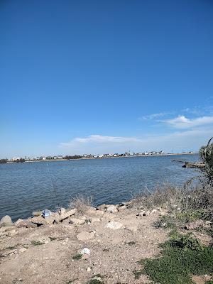 Sandee - Quintana Beach