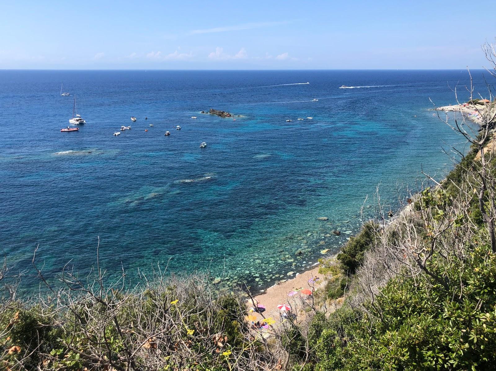 Sandee Spiaggia Dell'Ogliera Photo