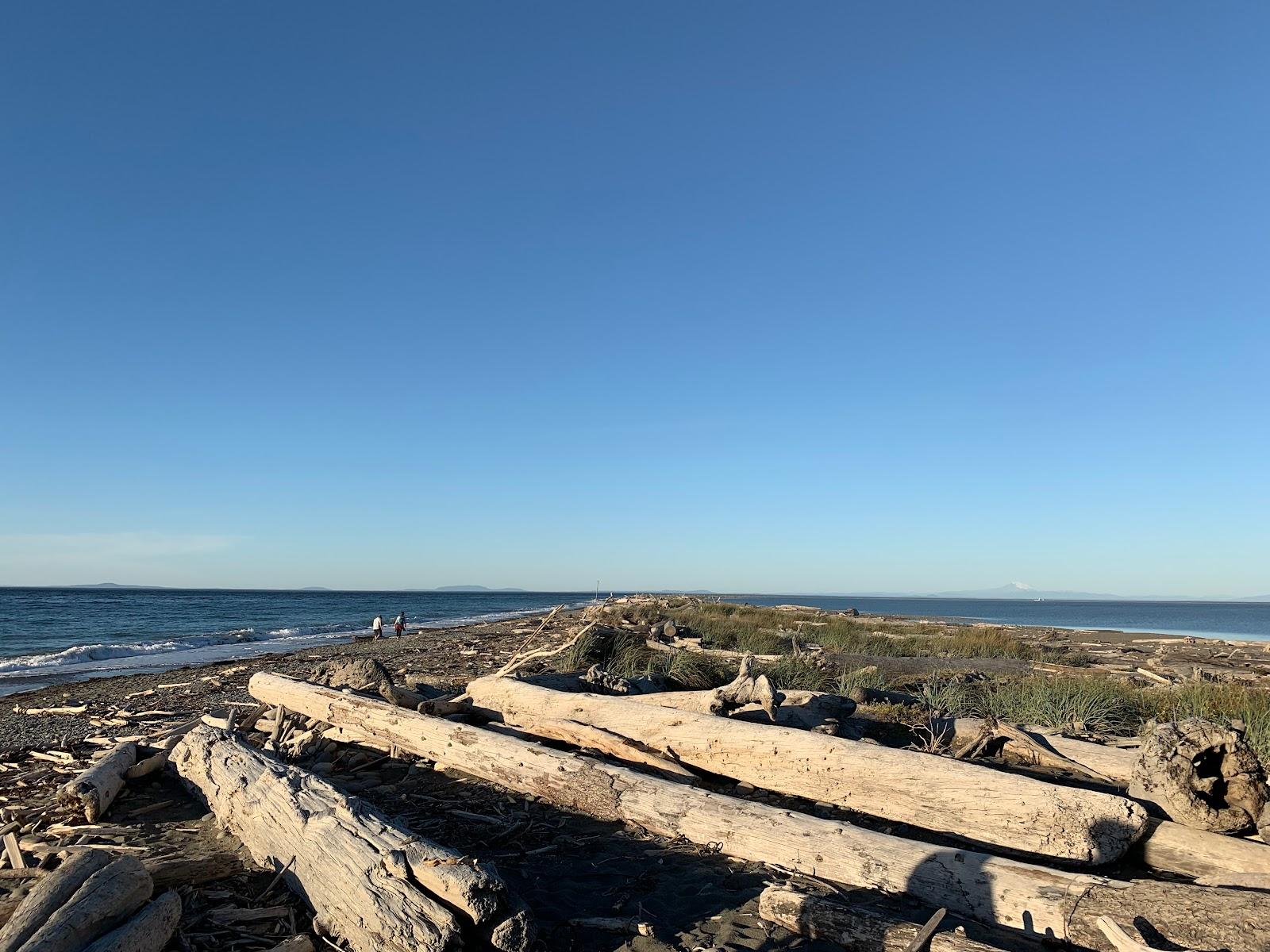 Sandee Dungeness Spit Photo