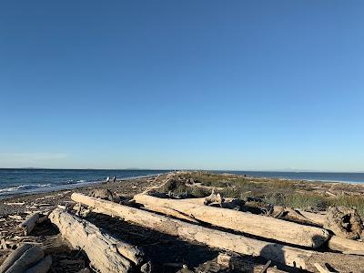 Sandee - Dungeness Spit