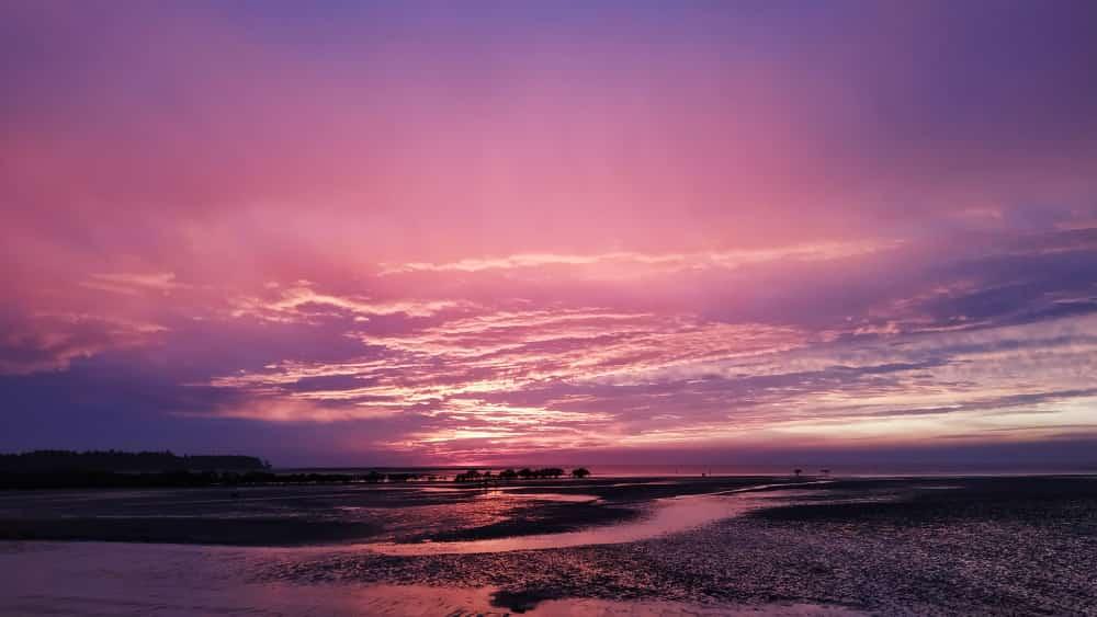 Sandee Gholvad Beach