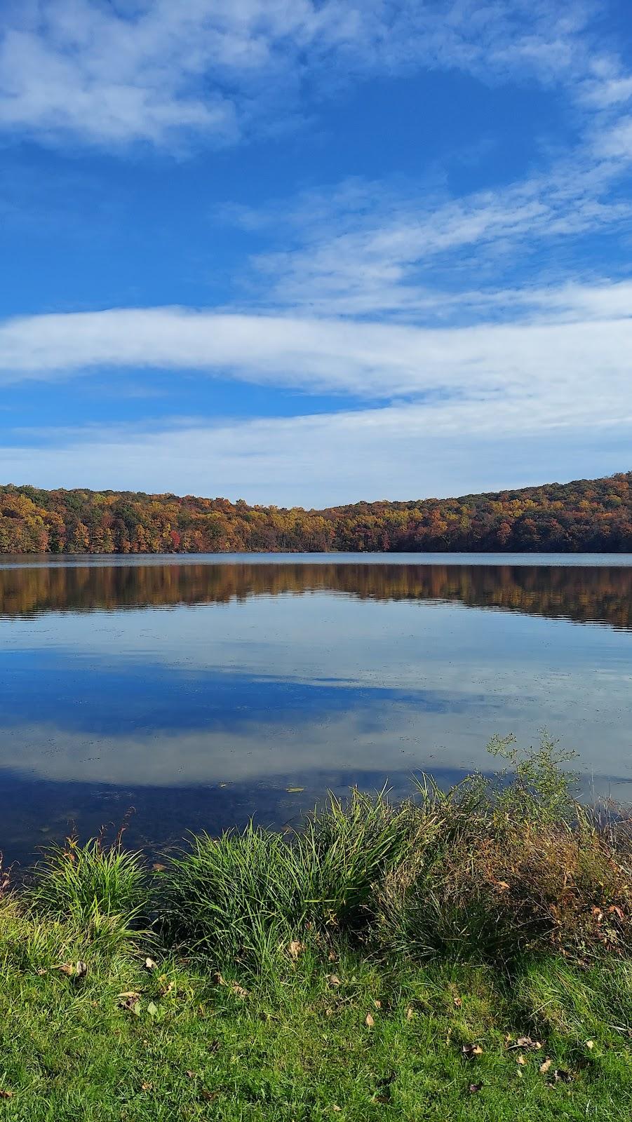 Sandee Shepherd Lake