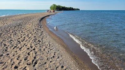 Sandee - Point Pelee