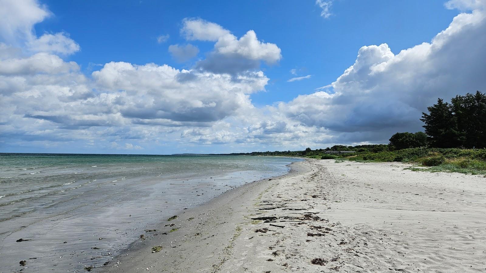 Sandee Havhuse Rygard Strand Photo