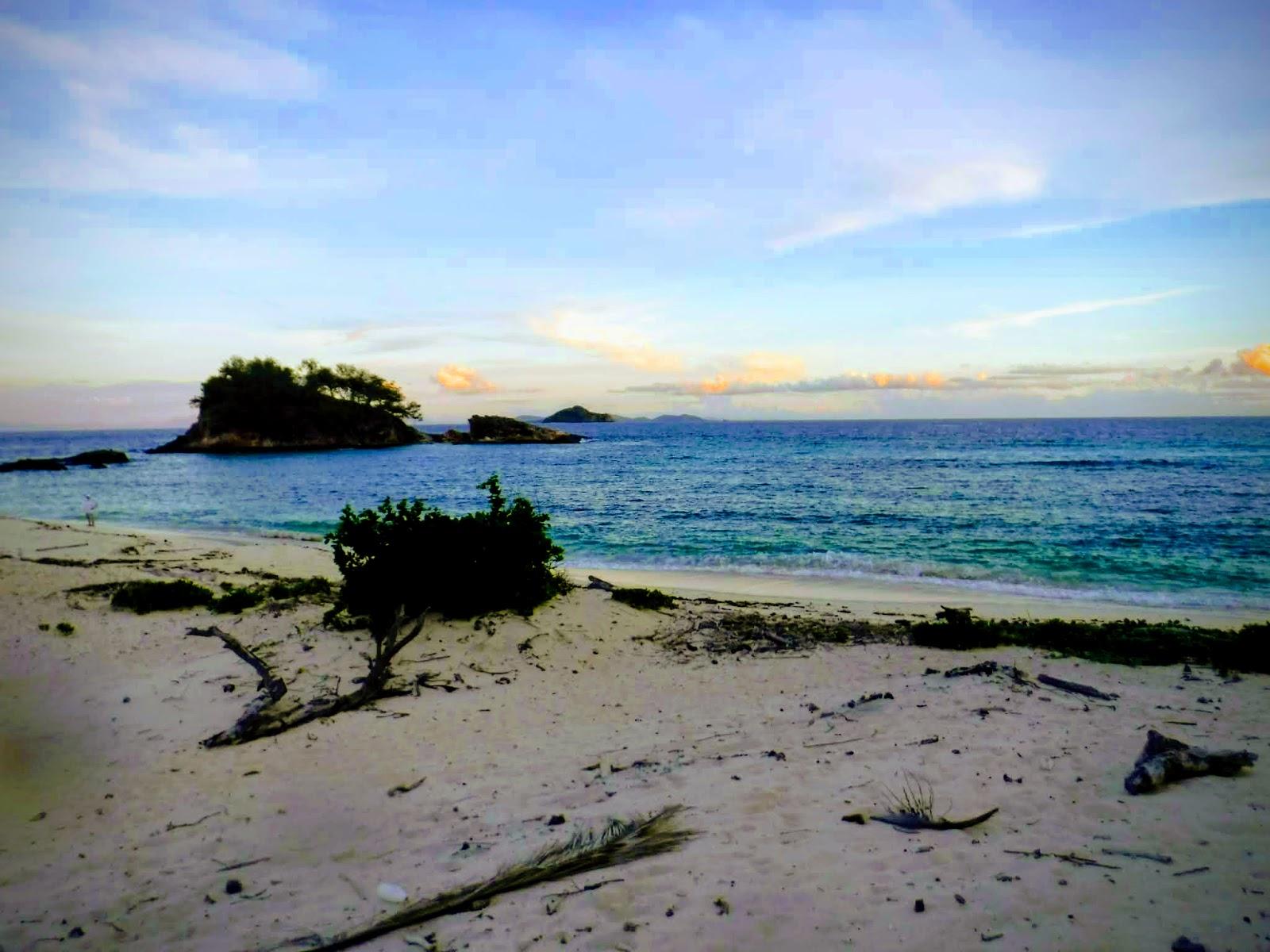 Sandee - Castaway Island, Fiji